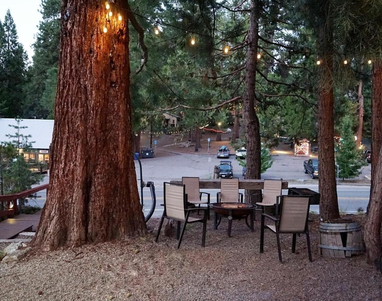 Bear Cave- Pet Friendly Suite In Shaver Lake シェイバー・レイク エクステリア 写真