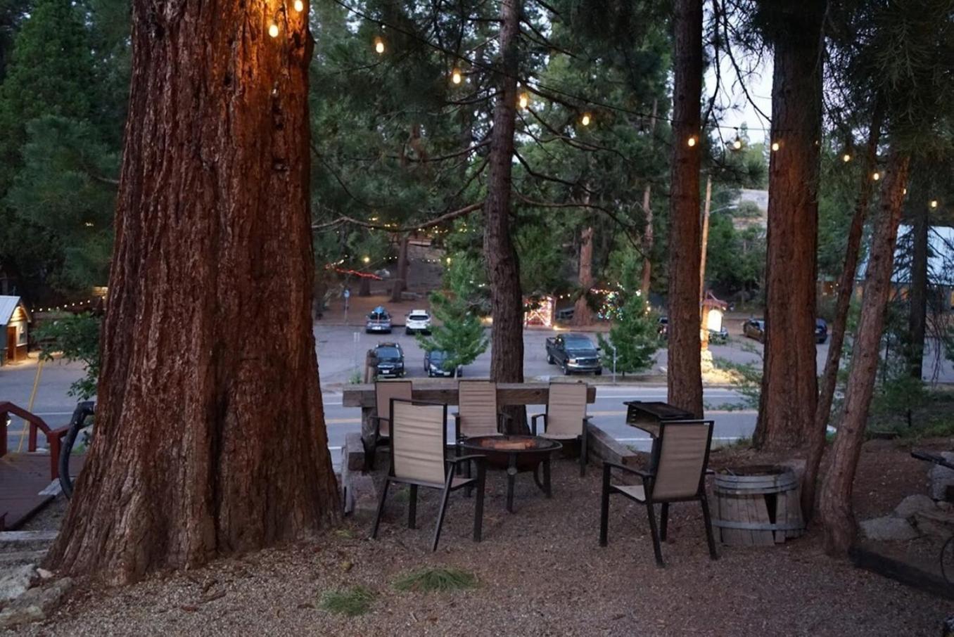 Bear Cave- Pet Friendly Suite In Shaver Lake シェイバー・レイク エクステリア 写真